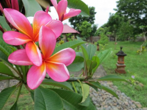 TEGAL SARI, Pemuteran- North Bali